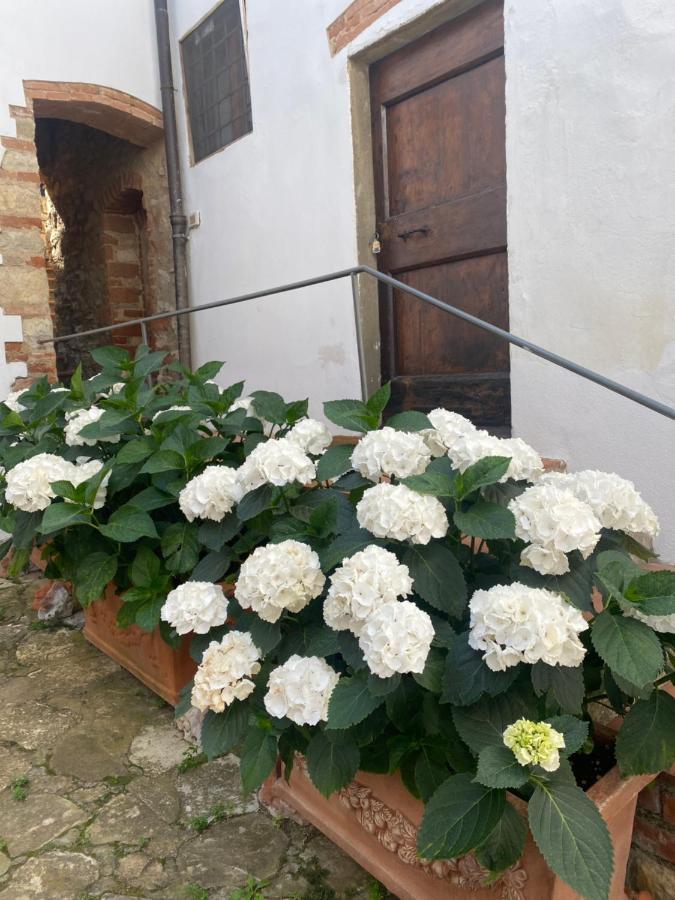 מלון Villamagna  Gavene מראה חיצוני תמונה